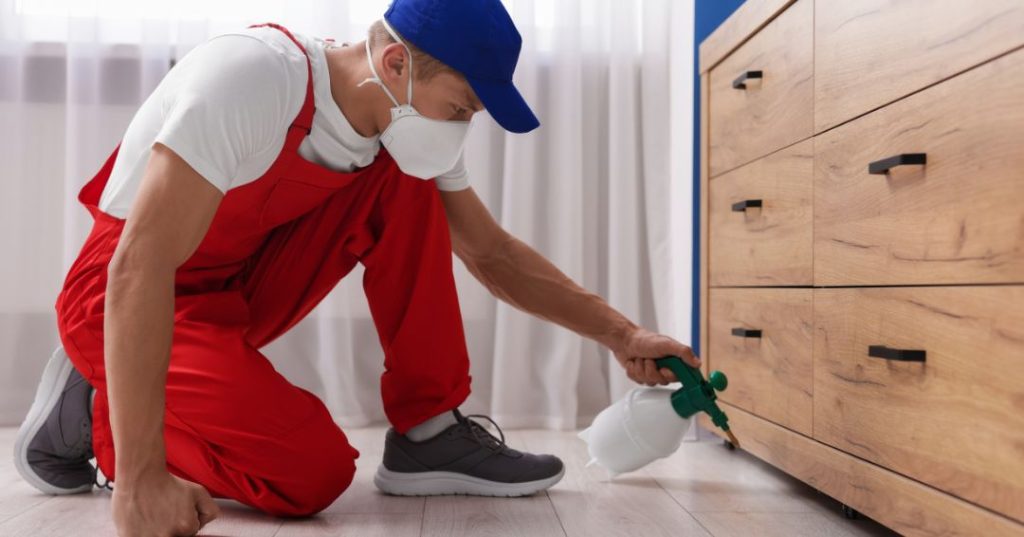 capa dedetizacao em Porto Velho